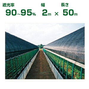 _CI Ռlbg  _CIV[g 14 Ռ90`95% 2m×50m (s) (_Ɨp A   c A | ՔM TVF[h gl ֎q lQ lM nEX 悯 ~jg}g ݂傤