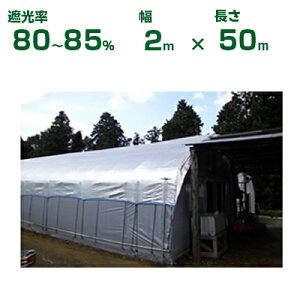 _CI Ռlbg Vo[× _CI~[ 80HB-6 Ռ80`85% 2m×50m (s) (_Ɨp A   c A | ՔM TVF[h gl ֎q lQ lM nEX 悯 ~jg}