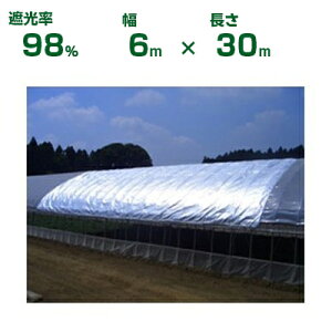 _CI Ռlbg Vo[ _CI_V[g 2 Ռ98% 6m×30m (s) (_Ɨp  A   c | ՔM gl ֎q lQ lM nEX 悯 ݂傤    