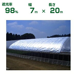 ダイオ化成 遮光ネット シルバー ダイオ農涼シート 3号 遮光率98% 7m×20m (代引不可) (農業用 資材 植物 畑 庭 育苗 園芸 遮熱 トンネル 茄子 人参 ネギ ハウス 日よけ みょうが メロン 野菜 蘭 り