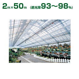ダイオ化成 遮光ネット シルバーグレイ ダイオラッセル 2200SG（遮光率93～98%）2m×50m(農業用)(園芸用)(代引不可)