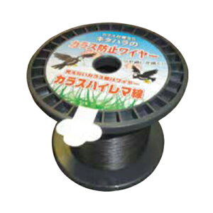 JX悯 ɂc JX΍ ̃AO hC[ JXnC} 500m XeX  XeXC[