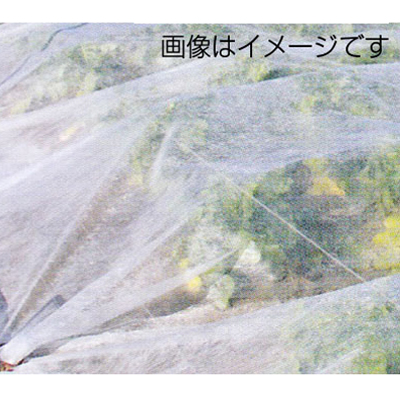 三菱ケミカルアグリドリーム 不織布 パオパオM-6 180cmX200m 育苗 パオパオ90よりも目付けが多く厚い 保温 保湿