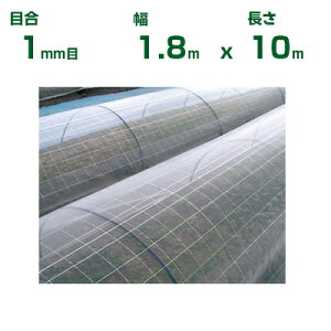{ChNX |p hTTlbg EX2000 ڍ1mm 1.8m×10m (_Ɨp |p ƒ؉ K[fjO _Ǝ h lbg gl  rj[nEX  Ԗ ׂ 