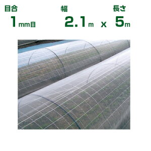 {ChNX |p hTTlbg EX2000 ڍ1mm 2.1m×5m (_Ɨp |p ƒ؉ K[fjO _Ǝ h lbg gl  rj[nEX  Ԗ ׂ 