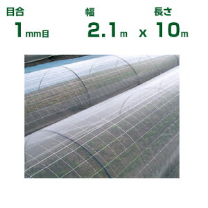 {ChNX |p hTTlbg EX2000 ڍ1mm 2.1m×10m (_Ɨp |p ƒ؉ K[fjO _Ǝ h lbg gl  rj[nEX  Ԗ ׂ 