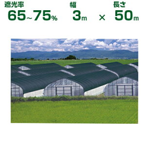 ylzOKz{ChNX Ռlbg ChXN[ BK1010 D ubN Ռ65`75% 3m×50m (_Ɨp A   c | ՔM gl ֎q lQ lM nEX 悯 ݂傤 