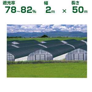 ylzOKz{ChNX Ռlbg ChXN[ BK2208 J~D ubN Ռ78`82% 2m×50m (_Ɨp A   c | ՔM gl ֎q lQ lM nEX 悯 ݂