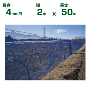 【個人宅配送OK】日本ワイドクロス 防風ネット ワイドラッセル防風網 BL400 青 目合4mm目 2m×50m(農業用 家庭菜園 畑 ハウス 農業資材 農園 園芸 果樹 野菜 植木 庭木 りんご レモン みかん オレ