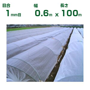 ylzOKz{ChNX hlbg hTTlbg EX2000 ڍ1mm 0.6m×100m 90% (_Ɨp |p ƒ؉ K[fjO _Ǝ h lbg gl  rj[