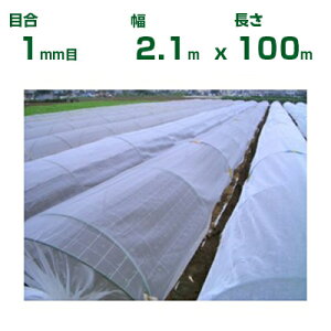 ylzOKz{ChNX hlbg hTTlbg EX2000 ڍ1mm 2.1m×100m 90% (_Ɨp |p ƒ؉ K[fjO _Ǝ h lbg gl  rj[