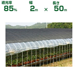 ylzOKz{ChNX Ռlbg ChbZՌlbg FE7 ubN Ռ85% 2m×50m (_Ɨp A   c | ՔM gl ֎q lQ lM nEX 悯 ݂傤 