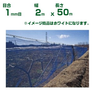 ylzOKz{ChNX hlbg ChbZh N100  ڍ1mm 2m×50m(_Ɨp ƒ؉  nEX _Ǝ _ | ʎ  A    ݂ I