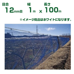ylzOKz{ChNX hlbg ChbZh N12  ڍ12mm 1m×100m(_Ɨp ƒ؉  nEX _Ǝ _ | ʎ  A    ݂ I