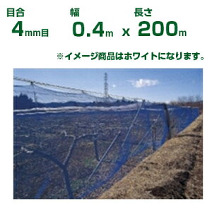 ylzOKz{ChNX hlbg ChbZh N400  ڍ4mm 0.4m×200m(_Ɨp ƒ؉  nEX _Ǝ _ | ʎ  A    ݂ I