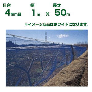 ylzOKz{ChNX hlbg ChbZh N400  ڍ4mm 1m×50m(_Ɨp ƒ؉  nEX _Ǝ _ | ʎ  A    ݂ I