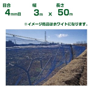 ylzOKz{ChNX hlbg ChbZh N400  ڍ4mm 3m×50m(_Ɨp ƒ؉  nEX _Ǝ _ | ʎ  A    ݂ I