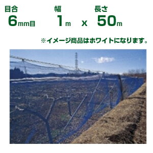 ylzOKz{ChNX hlbg ChbZh N600  ڍ6mm 1m×50m(_Ɨp ƒ؉  nEX _Ǝ _ | ʎ  A    ݂ I