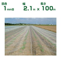楽天市場】防虫ネット 210 幅の通販