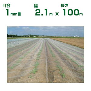 �y�l��z��OK�z���{���C�h�N���X �h���l�b�g �T���T���l�b�g �\�t���C�g SL2200 �ڍ�1mm�� 2.1m×100m ������92% (�_�Ɨp ���|�p �ƒ�؉� �K�[�f�j���O �_�Ǝ��� �h���� �������l�b�g �g���l�� 