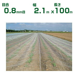 ylzOKz{ChNX hlbg TTlbg \tCg SL2700 ڍ0.8mm 2.1m×100m 90% (_Ɨp |p ƒ؉ _Ǝ h lbg gl  rj[n