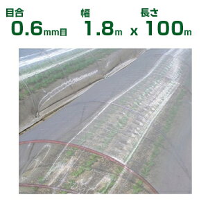 ylzOKz{ChNX hlbg TTlbg \tCg SL3200 ڍ0.6mm 1.8m×100m 87% (_Ɨp |p ƒ؉ _Ǝ h lbg gl  rj[n