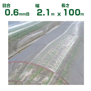 ylzOKz{ChNX hlbg TTlbg \tCg SL3200 ڍ0.6mm 2.1m×100m 87% (_Ɨp |p ƒ؉ _Ǝ h lbg gl  rj[n