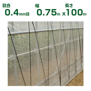 ylzOKz{ChNX hlbg TTlbg \tCg SL4200 ڍ0.4mm 0.75m×100m 82% (_Ɨp |p ƒ؉ _Ǝ h lbg gl  rj[