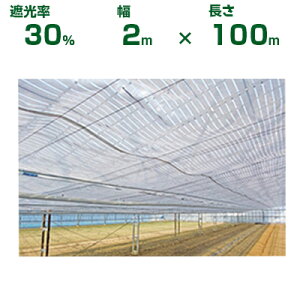 【個人宅配送OK】日本ワイドクロス 遮光ネット スリムホワイト 30 遮光率約30% 2m×100m (農業用 植物 畑 庭 育苗 園芸 遮熱 トンネル 茄子 人参 ネギ ハウス 日よけ みょうが メロン 野菜 蘭 りん
