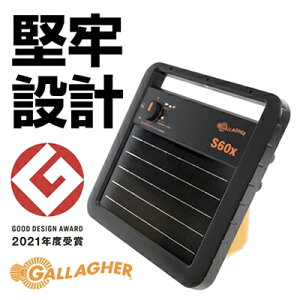 dC \[[ dC { T[W~L \[[ԕ KK[ S60x iA[XAY^|Xg800mmtj