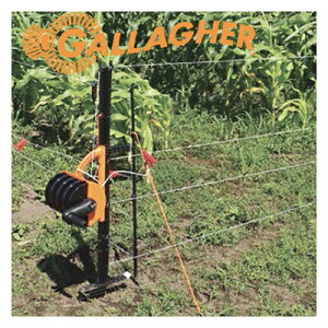 dC x [v ̌^ T[W~L X}[gtFX |[^u (100m4ip) [hRlN^tZbg |[ [ C[