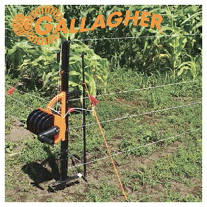 dC x [v ̌^ T[W~L X}[gtFX |[^u (100m4ip) +ǉ|[tZbg |[ [ C[