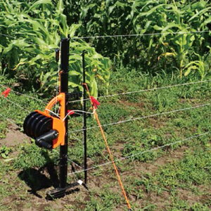 dC x [v ̌^ T[W~L X}[gtFX |[^u (100m4ip) |[ [ C[