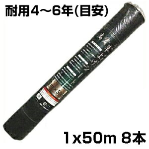 lzOK hV[g 1m VZC 悯V[g ubN 1m X 50m 8{ 135g /m2 ϗpN4`6N YUV4 Rۍܓ   _Ǝ K\[[ zd