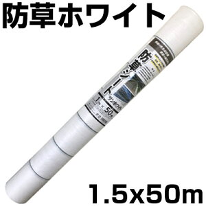 lzOK hV[g 1.5m  1{ VZC 150cm X 50m zCg 135g /m2 Rۍܓ UVܓ  z ʃpl  nEXʘH _Ǝ ƒ؉ ϗpN3N