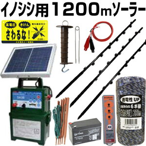 dC \[[ Zbg dC { ^CK[ SA30SL CmVVp 1200m 2iZbg {[_[VbN dZbg KCVtFPRx