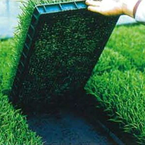 j`J c~p sDz uV[g ubN 210cm×100m 3{ 20507BKD