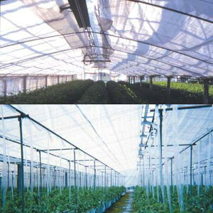 j`J J[ep sDz X[p[uV[g N[&zbg 2{ 180cm×100m 20557FXT