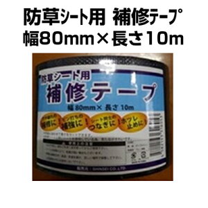 hV[g e[v VZC hV[gp ͕Ce[v   80mm X  10m 1 ⋭ Ȃ zc~ ubN {