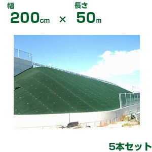 @l hV[g 2m 򐻖 hV[g Ή}`tFg Ver.600  200cm X 50m 5{ O[ 4mm ϗp10Nx R G[Wh~