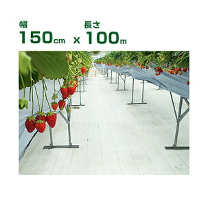 lzOK hV[g 1.5m 򐻖 ˖hV[g V[g sJ 150cm X 100m ˗ i ʎFt ՔM n㏸} C`S g}g S  uhE ʎ