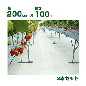 lzOK hV[g 2m 򐻖 ˖hV[g V[g sJ 200cm X 100m 3{ ˗ i ʎFt ՔM n㏸} C`S g}g S  uhE ʎ