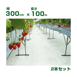 lzOK hV[g 3m 򐻖 ˖hV[g V[g sJ 300cm X 100m i^^~j 2 ˗ i ʎFt ՔM n㏸} C`S g}g S  uh