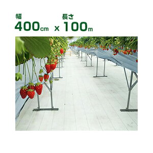 lzOK hV[g 4m 򐻖 ˖hV[g V[g sJ 400cm X 100m i^^~j ˗ i ʎFt ՔM n㏸} C`S g}g S  uhE 