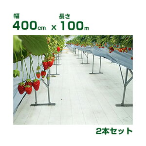 lzOK hV[g 4m 򐻖 ˖hV[g V[g sJ 400cm X 100m i^^~j 2 ˗ i ʎFt ՔM n㏸} C`S g}g S  uh