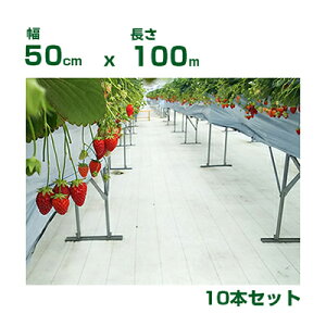 lzOK hV[g 50cm 򐻖 ˖hV[g V[g sJ 0.5m X 100m 10{ ˗ i ʎFt ՔM n㏸} C`S g}g S  uhE ʎ