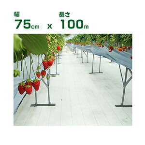 lzOK hV[g 75cm 򐻖 ˖hV[g V[g sJ 0.75m X 100m ˗ i ʎFt ՔM n㏸} C`S g}g S  uhE ʎ