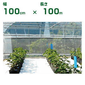 lzOK 򐻖  tbƃV[g x 100cm X 100m nEX Q AU~E} s nEX i ˌ ՔM h IPM