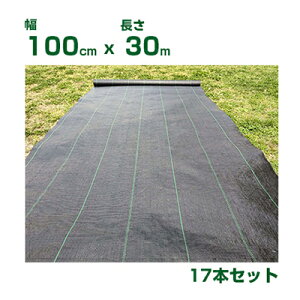 �l��z��OK �h���V�[�g 1m ���򐻖� �N�G�X�g�V�[�g ��x�� 100cm X 30m 17�{�� Quest�V�[�g ���C���� ��R�X�g ���Y ���{�� ���[�J�[���S���А���
