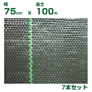 lzOK hV[g 0.75m 򐻖 hV[g V[g x 75cm X 100m 7{ Y { C nEX @ A~